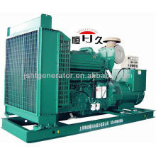 Groupe électrogène diesel de Paou Engine 800KVA CE (GF640)